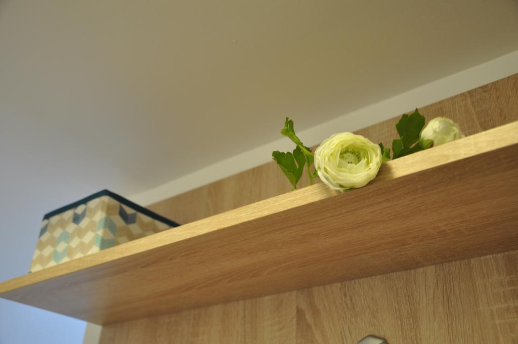 Smp Apartament Timişoara
